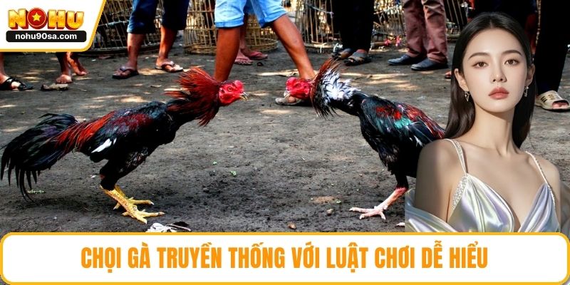 Đá Gà NOHU90 - Tổng Quan, Ưu Điểm Và Các Loại Kèo Hấp Dẫn 4 Chọi gà truyền thống với luật chơi dễ hiểu