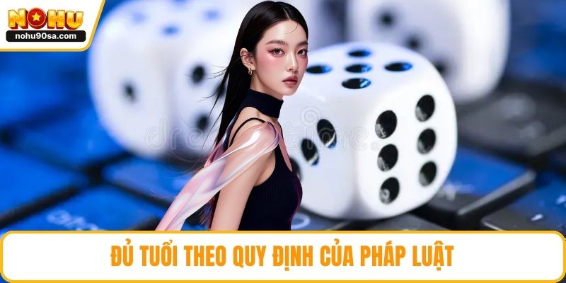 Tài Xỉu NOHU90 - Trải Nghiệm Cực Đỉnh Tại Sân Chơi Cá Cược 4 Đủ tuổi theo quy định của pháp luật