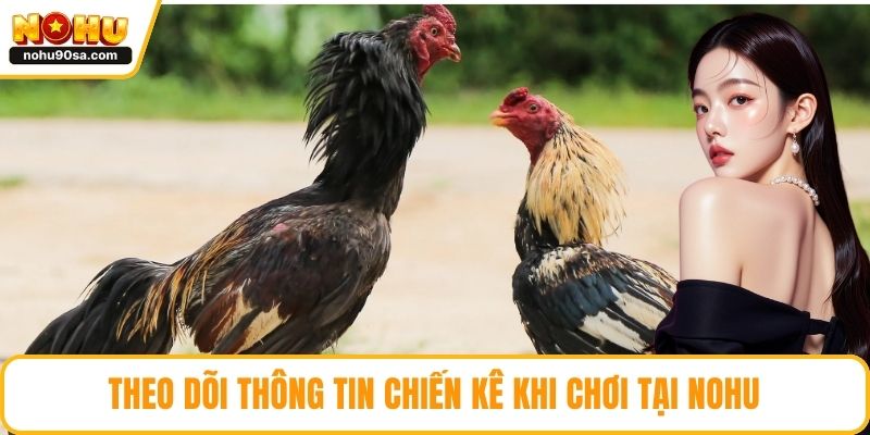Đá Gà NOHU90 - Tổng Quan, Ưu Điểm Và Các Loại Kèo Hấp Dẫn 5 Theo dõi thông tin chiến kê khi chơi tại NOHU